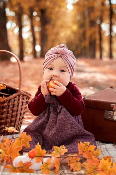 Uma criança pequena está sentada em um parque de outono comendo uma maçã — Fotografia de Stock