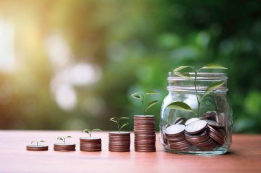 Yeşillik arka planında ağaç büyümesi olan madeni para grafiğini arttır. Tasarruf ve yatırım kavramından pay ve kâr.