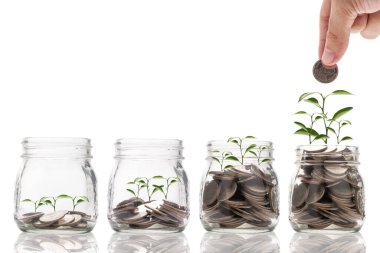 El ele tutuşup, bozuk paraların üzerinde parlayan ve büyüyen bitkilerle dolu cam kavanoza para koymak. Tasarruf ve yatırım kavramından pay ve kâr.