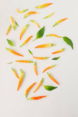 Beyaz arka planda çok renkli kırmızı biber.