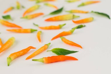 Beyaz arka planda çok renkli kırmızı biber.