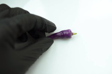 Beyaz arka planda eldivenli siyah kırmızı biber.