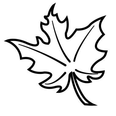 Akçaağaç yaprağı çizimi renkli değil