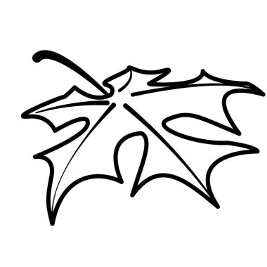 Akçaağaç yaprağı çizimi renkli değil