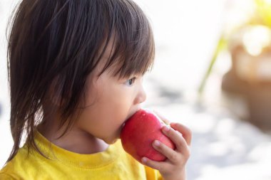2 yaşında bir bebeğin portresi. Kırmızı elma yiyip ısıran mutlu Asyalı kız çocuğu. Afiyet olsun. Sağlıklı yemek ve çocuk konsepti. Klasik stil.