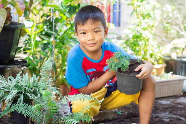 Anak Asia Menanam Pohon Pot Anak Menanam Bunga Musim Semi — Stok Foto