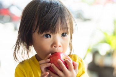 2 yaşında bir bebeğin portresi. Kırmızı elma yiyip ısıran mutlu Asyalı kız çocuğu. Afiyet olsun. Sağlıklı yemek ve çocuk konsepti. Klasik stil.
