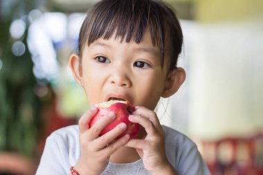 2 yaşında bir bebeğin portresi. Kırmızı elma yiyip ısıran mutlu Asyalı kız çocuğu. Afiyet olsun. Sağlıklı yemek ve çocuk konsepti. Klasik stil.