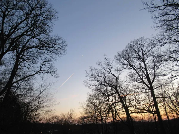 Yapraksız günbatımında bir uçak ve ay vardı.