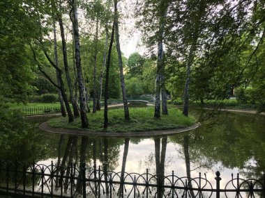 Krakow 'da su yansıtan ağaçlar