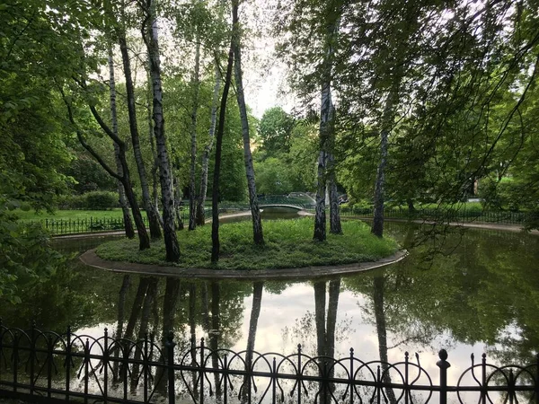 Krakow 'da su yansıtan ağaçlar