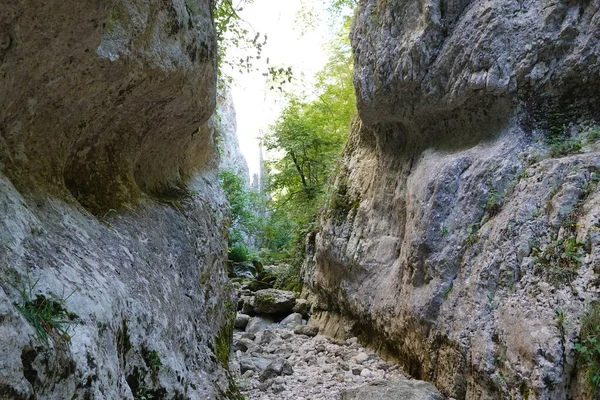 Yüksek kayalar ve ağaçlar arasında nehir yatağı olan bir vadi.