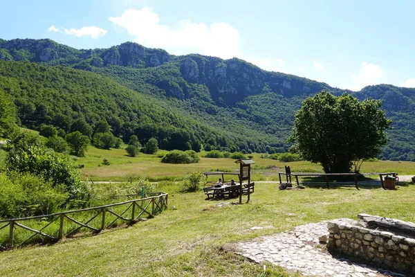 Yeşil vadi arka planı ve dağları olan mor çiçekli bir makro.