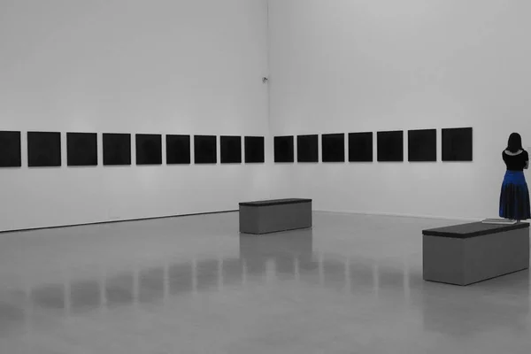 Müzede siyah-beyaz ve mavi etek renginde sanat eserlerine bakan bir kadın.