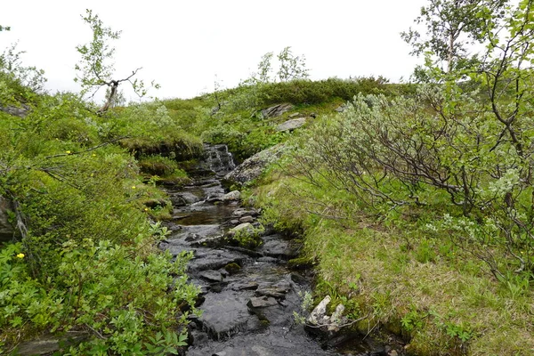 İsveç 'te yürüyüş parkurunda içme suyu olan nehir.