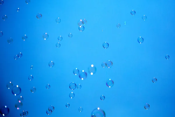 Soap bubbles on the blue sky