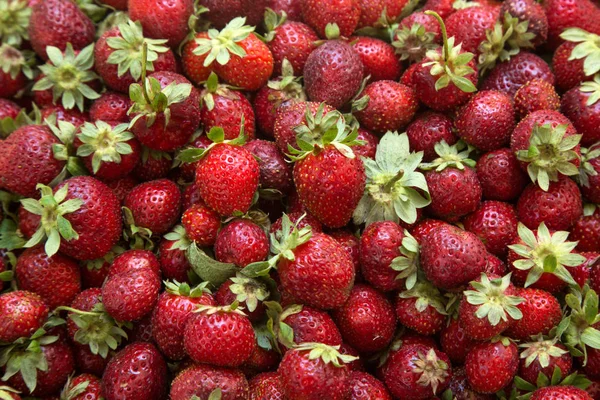 fresh strawberries textured  background