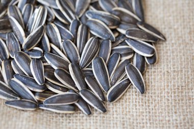 çuval bezi üzerinde kavrulmuş ayçiçeği tohumu