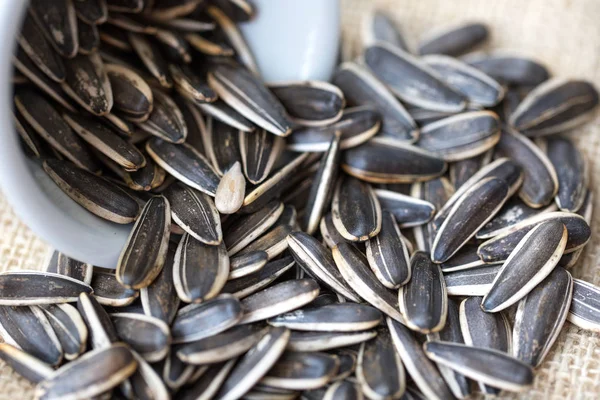çuval bezi üzerinde kavrulmuş ayçiçeği tohumu