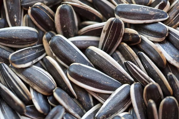 kavrulmuş ayçiçeği çekirdeği doku