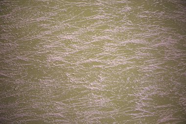 arka plan için yeşil ve beyaz duvar