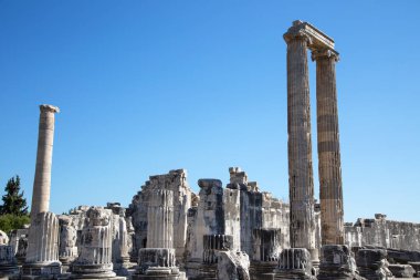 Apollon Tapınağı kalıntıları, Didim, Aydın Vilayeti, Türkiye.