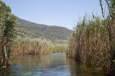 Akyaka'da Azmak nehri, Muğla, Türkiye