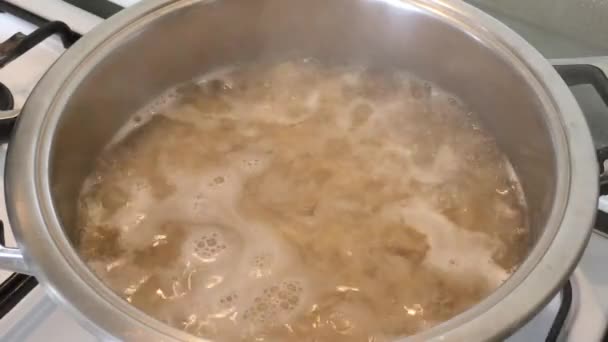 Farfalle Nudeln Kochendem Wasser — Stockvideo