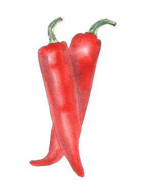 Beyaz arka planda izole edilmiş biberlerin parlak görüntüsü. Medya suluboya ve mürekkep karışımı. Gerçekçi grafik tarzı. Sıcak baharatlı sebzenin el çizimi..
