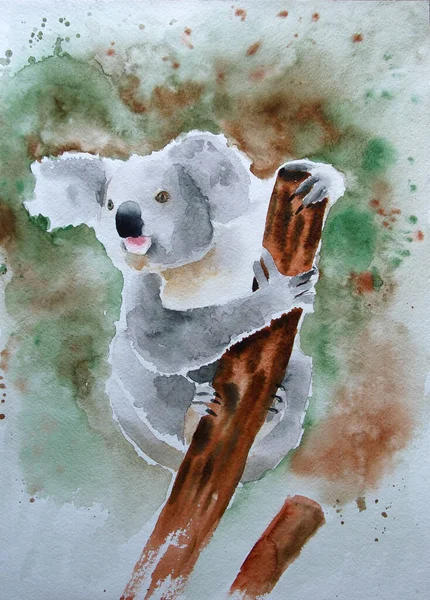 Akvarell Ritning Söt Vilda Djur Bild Koala Som Sitter Gren — Stockfoto