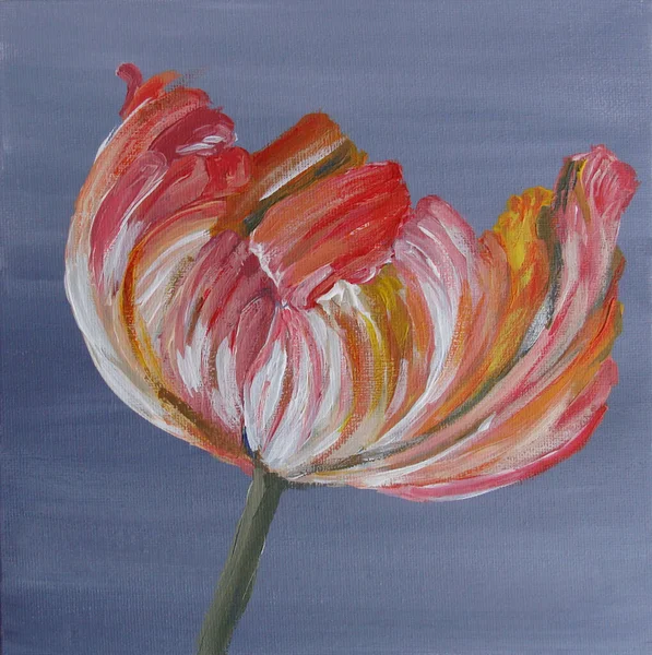 Drawing of a tulip on canvas with acrylic. Suitable for the design of cards, invitations, packaging. Beautiful flower is drawn by hand.