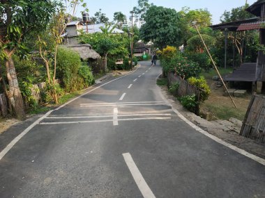 Kırsal park yolları bahar mevsiminde yeşil bitki ve renkli çiçeklerle görülür