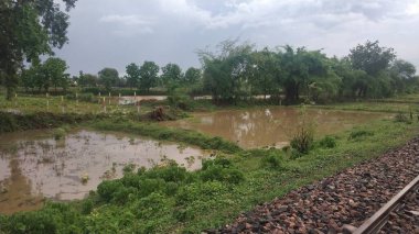 Mavi bulutlu gökyüzünün altındaki kırsal tarım bölgesinde su