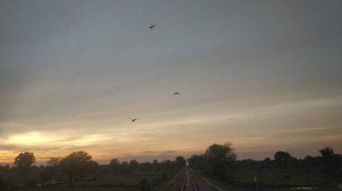 Akşam gökyüzünde uçan yusufçuk mavi gökyüzü ile kırsal alanda