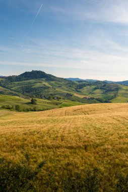 Oltrepo 'nun Pavese manzara tepeleri, üzüm bağları, köy yolları ve güneşli bir günde Montalto Pavese şatosu.