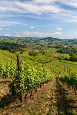 Oltrepo 'nun Pavese manzara tepeleri, üzüm bağları, köy yolları ve güneşli bir günde Montalto Pavese şatosu.