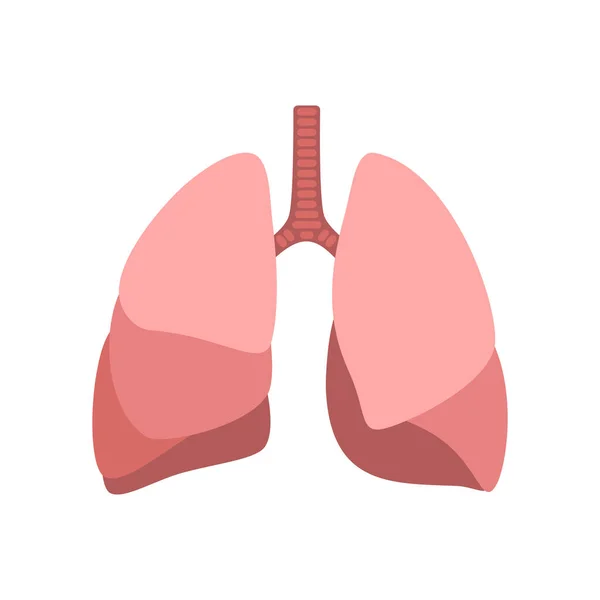 Handritat Vektorkort Med Tecknad Mänsklig Lunga Isolerad Vit Bakgrund Friska — Stock vektor