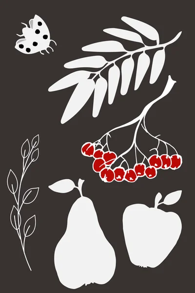Imagens desenhadas à mão de outono. Sílhuetas brancas no fundo escuro. Folhas isoladas de cinzas, rowan, inseto senhora, pêra, maçã — Vetor de Stock