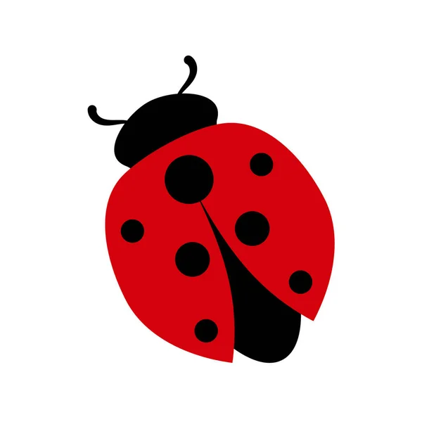 Ícone colorido de joaninha. Ilustração gráfica plana. Desenhos animados forma de inseto popular em preto e vermelho —  Vetores de Stock