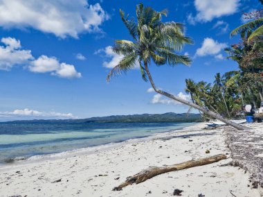 Siquijor Adası 'ndaki beyaz kumsal, Filipinler. Etrafta kimse yok.