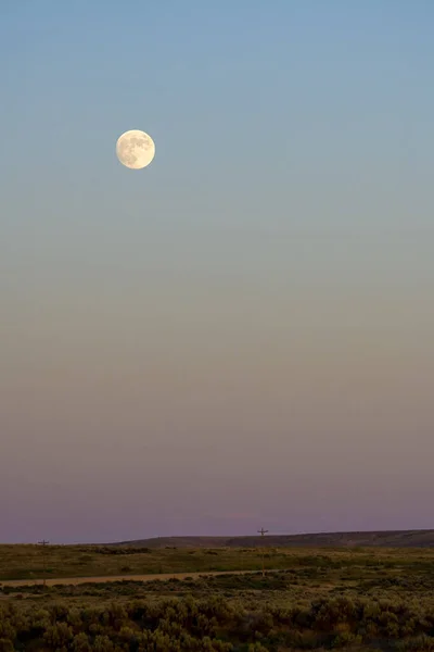 Zonsondergang Maan Opkomen Boven Hoge Woestijn Rechtenvrije Stockafbeeldingen
