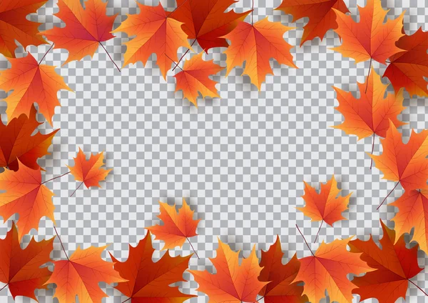 秋天的叶子。明亮多彩的秋天橡树叶。模板的 — 图库矢量图片
