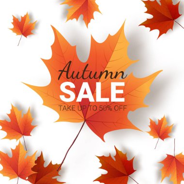 Sonbahar yaprakları. Parlak renkli sonbahar meşe yaprağı. Şablon için 