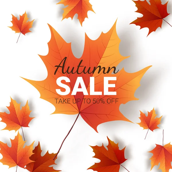 Sonbahar yaprakları. Parlak renkli sonbahar meşe yaprağı. Şablon için 