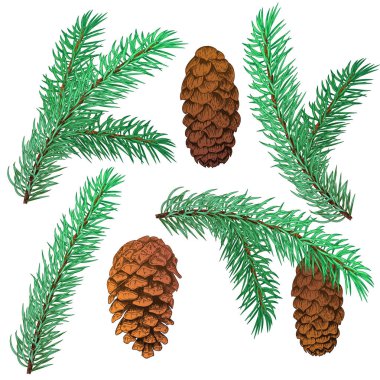 Noel ağacı ve koni ayarlayın. Beyaz bir arka plan üzerinde siyah çizgi mürekkep. Vektör çizimler