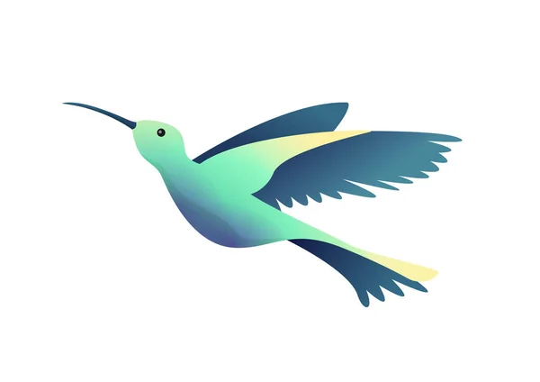 Flacher kleiner Kolibri, Kolibri isoliert auf weißem Hintergrund. Vektorillustration — Stockvektor