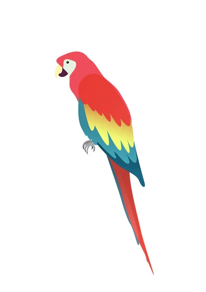 Επίπεδη παπαγάλος macaw απομονώνεται σε λευκό φόντο. Διάνυσμα περιπτωσιολογικές — Διανυσματικό Αρχείο