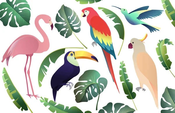 Tropical birds set: parrots, flamingo and toucan. Palm and monst — Stock Vector