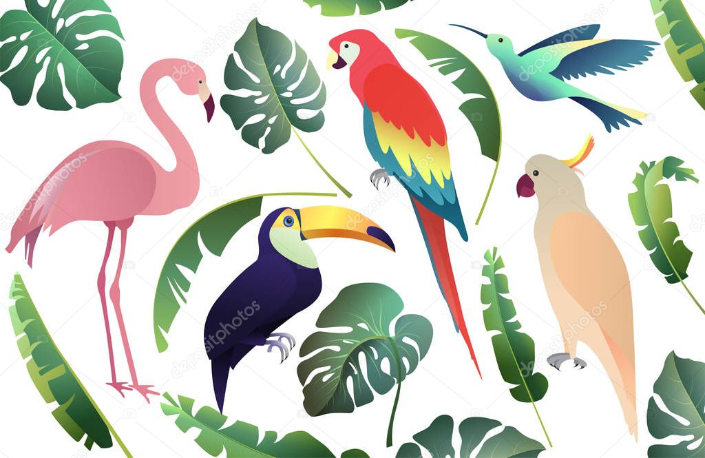 Tropical birds set: parrots, flamingo and toucan. Palm and monst