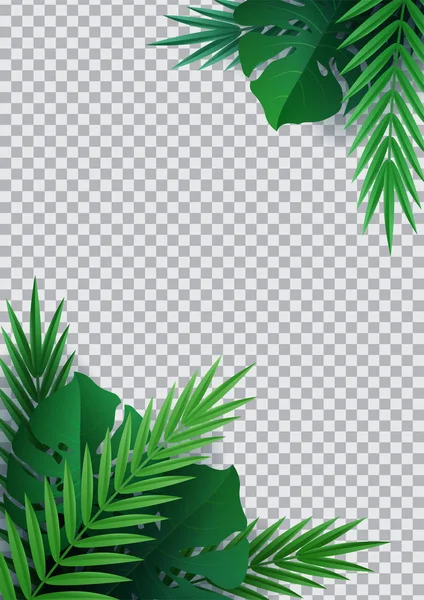 你好夏天，夏天。热带植物的背景。棕榈勒 — 图库矢量图片